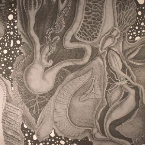 Dimensional Space
