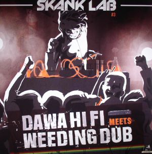 Skank Lab #3