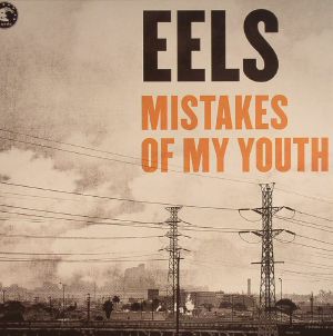 Mistakes Of My Youth