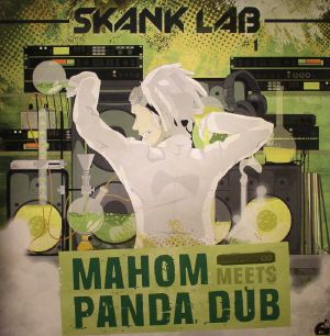 Skank Lab #1