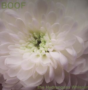 BOOF - The Hydrangeas Whisper