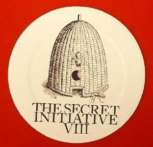 The Secret Initiative VIII