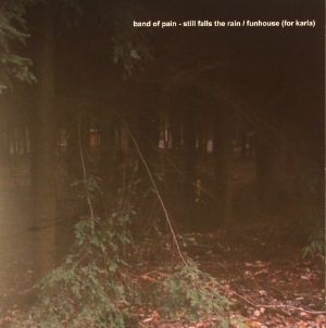 Still Falls The Rain