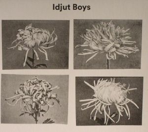 Versions