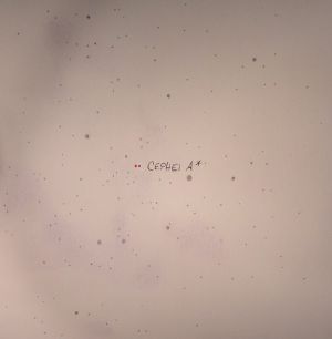 Cephei