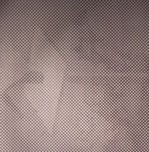 Hexentrix