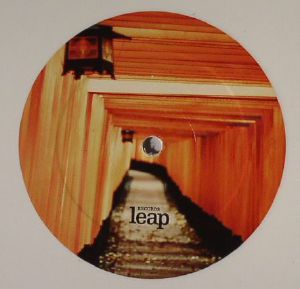 Leap 004