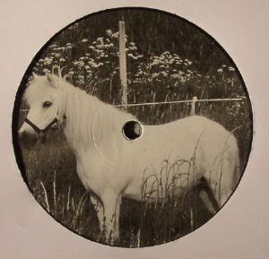 A Horse With No Name