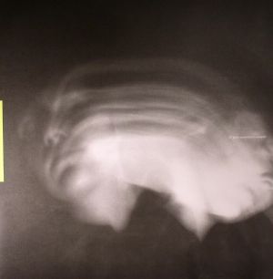 10 Is Not Enough: 10 Years Compilation Sampler