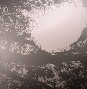 Field Recordings From The Sun