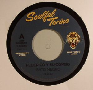 Gato Negro