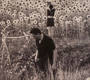 Jesu/Sun Kil Moon