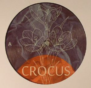 Crocus 002