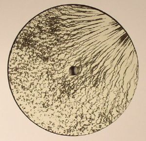 Footstone