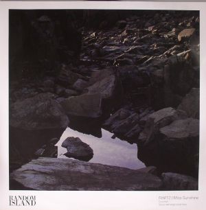Rino 12