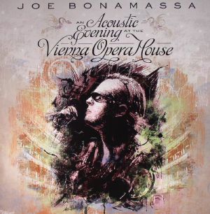 An Acoustic Evening At The Vienna Opera House