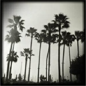 Live At KCRW 'Morning Becomes Eclectic