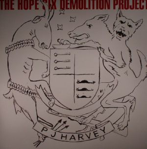 The Hope Six Demolition Project