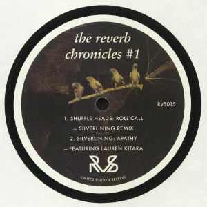 The Reverb Chronicles #1