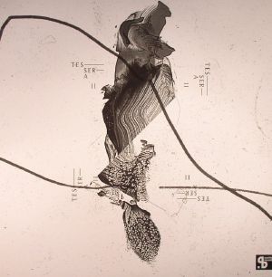 Tessera II