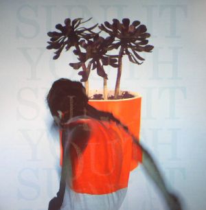 Sunlit Youth