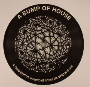 A Bump Of House