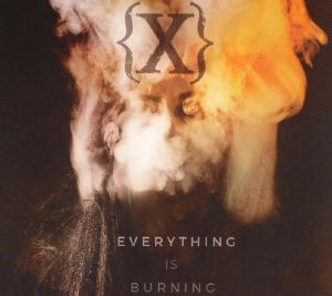 Everything Is Burning: Metanoia Addendum