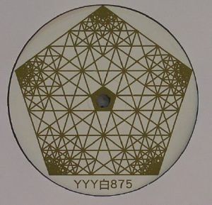 YYY 875