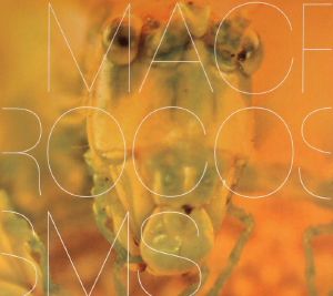 Macrocosms