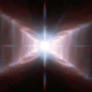 Pyralis