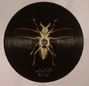 Suburban Avenue 007