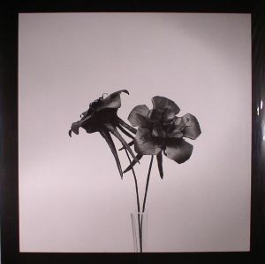 Dark Lotus