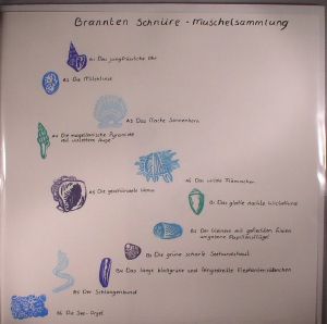Muschelsammlung