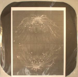 Anaphase EP