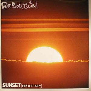Sunset (Bird Of Prey)