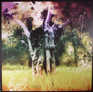 Meeting Of The Waters (Record Store Day 2017)