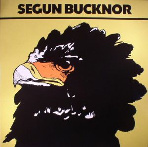 Segun Bucknor