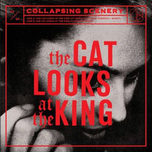 Cat Looks At The King