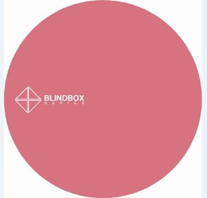 Blind Box 007