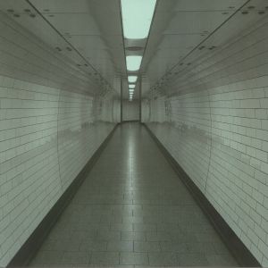 Mirror City