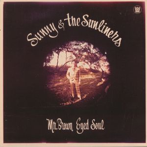 Mr Brown Eyed Soul