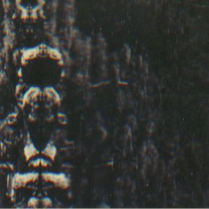 The Forest The People & The Spirits