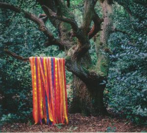 The Animal Spirits
