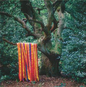 The Animal Spirits