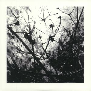 Irradiance