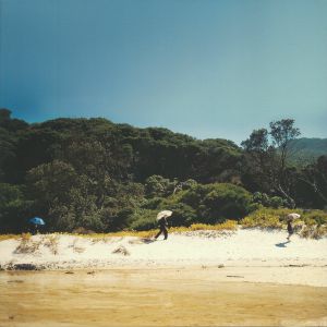 Tidal River