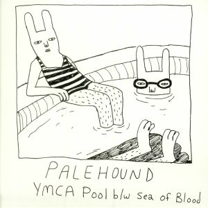 YMCA Pool