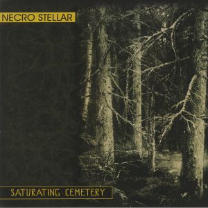 Saturating Cemetery