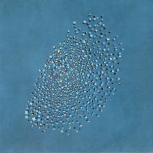 Murmuration