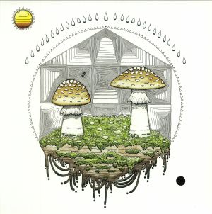 Mycelia
